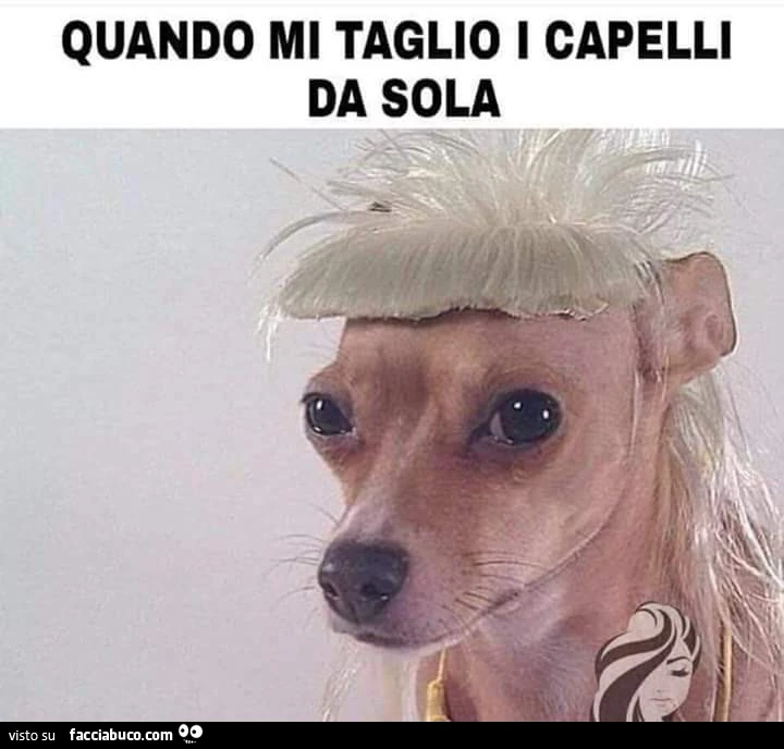 Taglio Capelli Quando