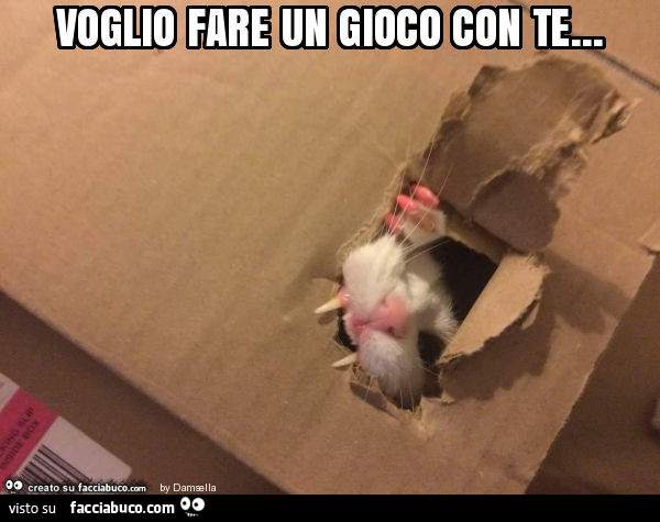 Voglio fare un gioco con te
