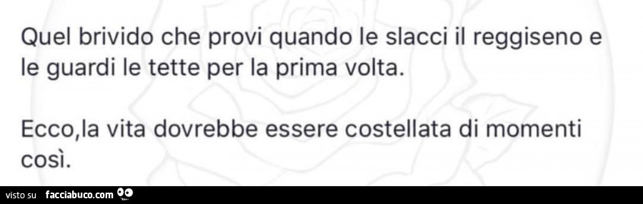 Quel brivido che provi quando le slacci il reggiseno e le guardi le tette per la prima volta. Ecco, la vita dovrebbe essere costellata di momenti così