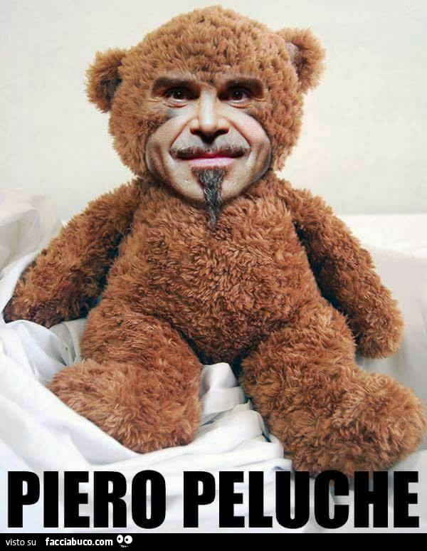 Piero Peluche