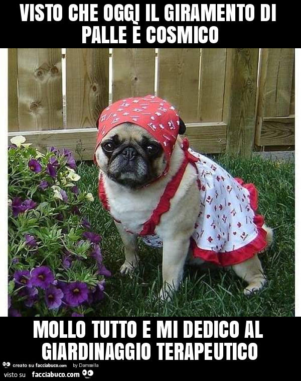 Visto che oggi il giramento di palle è cosmico mollo tutto e mi dedico al giardinaggio terapeutico