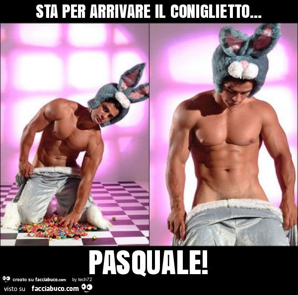 Risultati immagini per coniglietto sexy