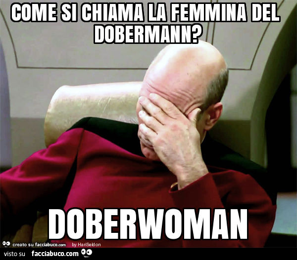 Come si chiama la femmina del dobermann? Doberwoman