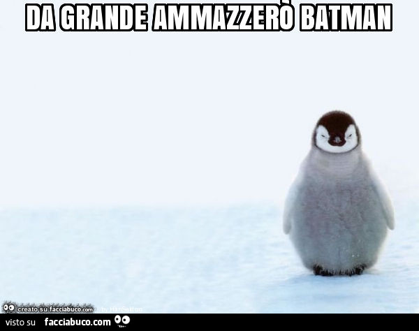Da grande ammazzerò batman