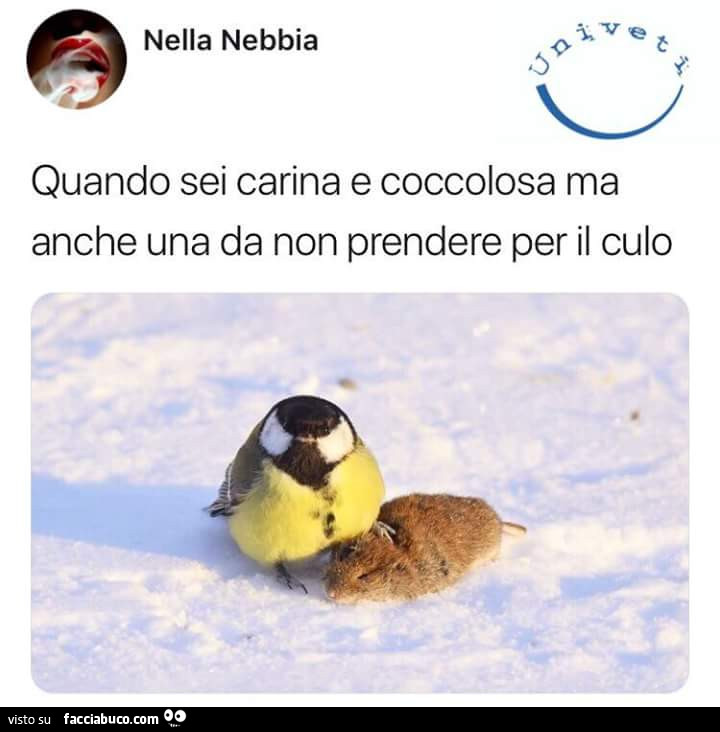 Quando sei carina e coccolosa ma anche una da non prendere per il culo