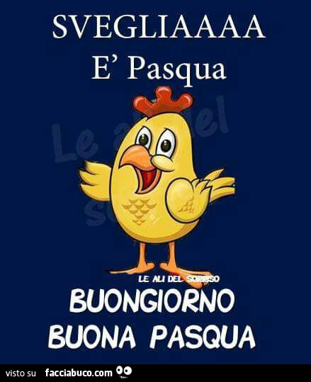 Svegliaaaa è Pasqua buongiorno Buona Pasqua