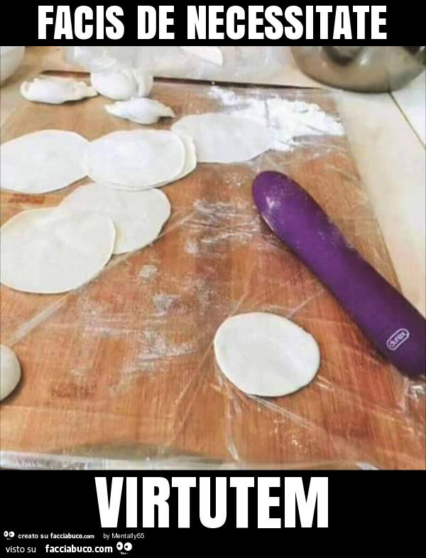 Facis de necessitate virtutem