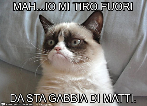 Mah… io mi tiro fuori da sta gabbia di matti