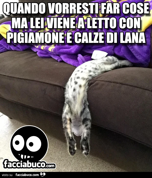Quando vorresti far cose ma lei viene a letto con pigiamone e calze di lana