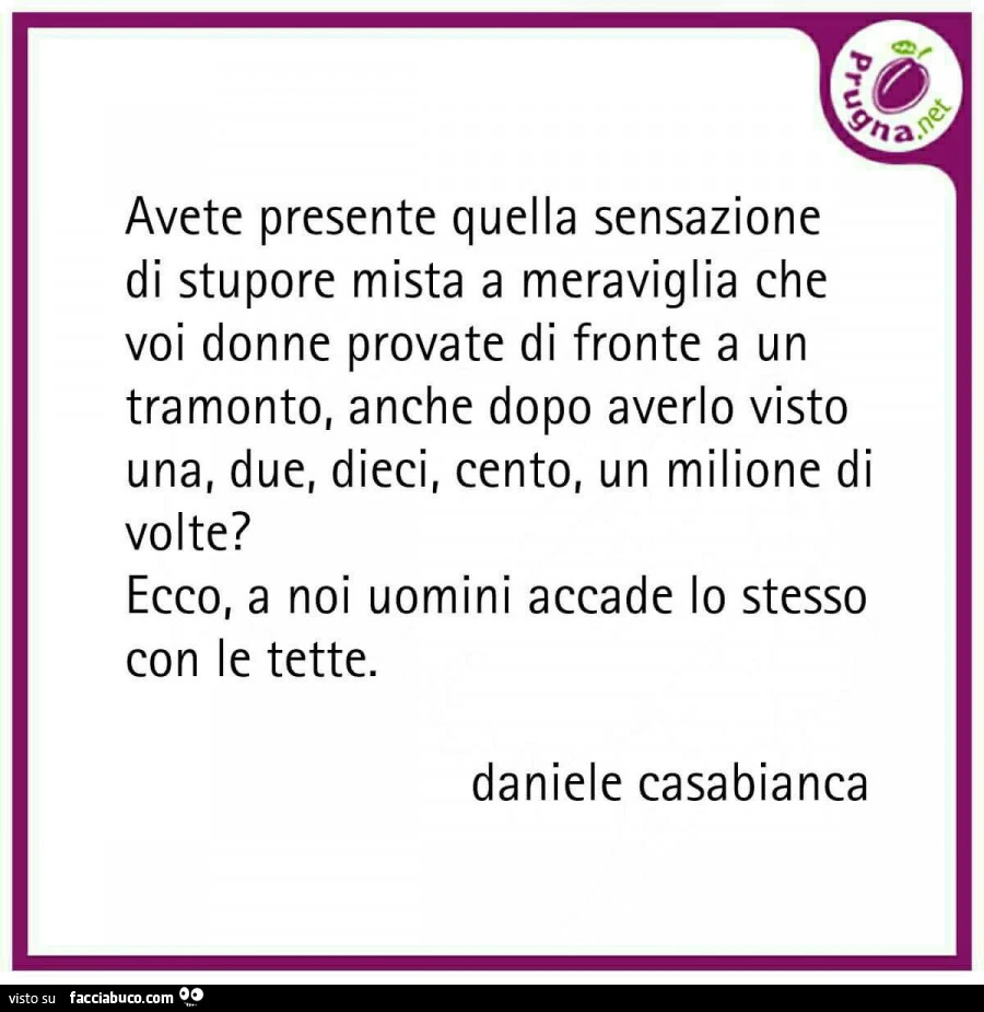 Ha. O avete presente quella sensazione di stupore mista a meraviglia che voi donne provate di fronte a un tramonto, anche dopo averlo visto una, due, dieci, cento, un milione di volte? Ecco, a noi uomini accade lo stesso con le tette