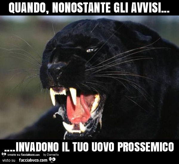 Quando, nonostante gli avvisi… invadono il tuo uovo prossemico