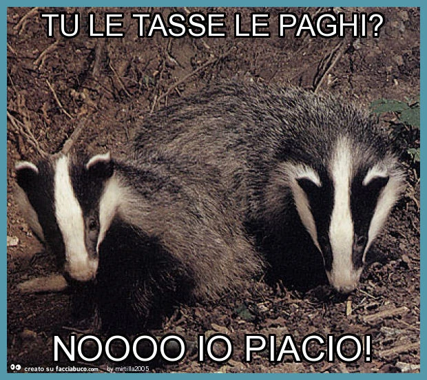 Tu le tasse le paghi? Noooo io piacio
