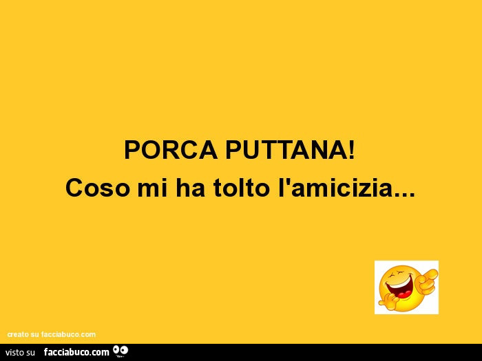 PORCA PUTTANA! Coso mi ha tolto l'amicizia