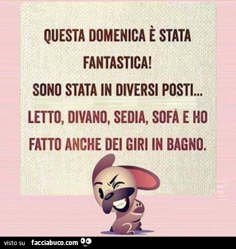 Questa domenica è stata fantastica! Sono stata in diversi posti&hellip; letto, divano, sedia, sofa e ho fatto anche dei giri in bagno
