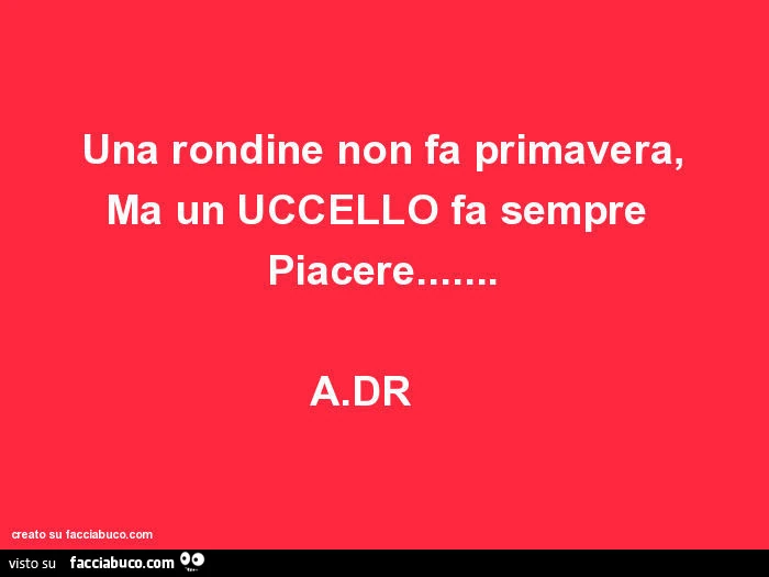 Una rondine non fa primavera, ma un uccello fa sempre piacere