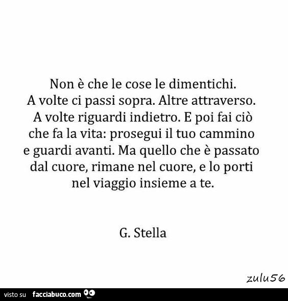 Non è che le cose le dimentichi. A volte ci passi sopra. Altre attraverso. A volte riguardi indietro. E poi fai ciò che fa la vita: prosegui il tuo cammino e guardi avanti. Ma quello che è passato dal cuore, rimane nel cuore, e lo porti nel viaggio insiem