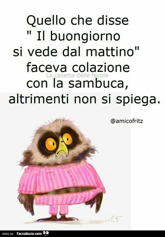 facciamo ridere un po'... - Pagina 2 8mu7kklptt-quello-che-disse-il-buongiorno-si-vede-dal-mattino-faceva-colazione-con-la-sambuca_b