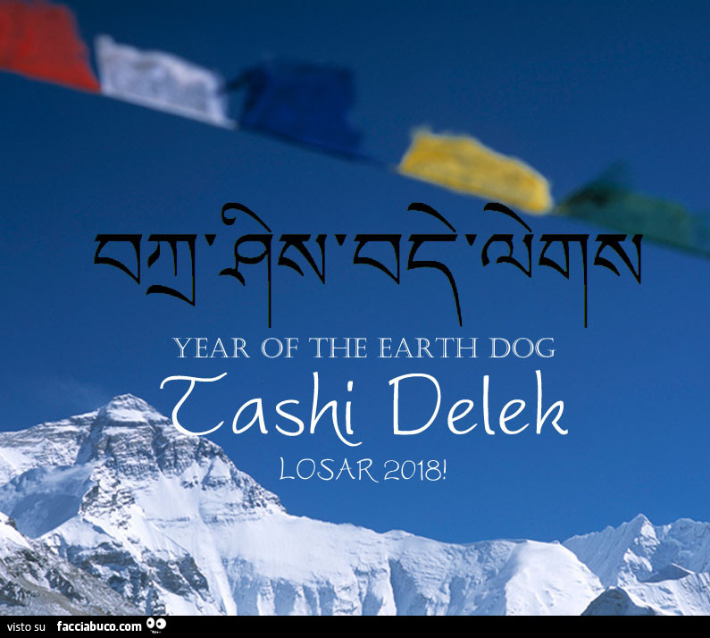 Year of the earth dog. Tashi Delek