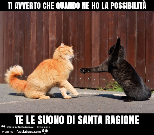 Ti avverto che quando ne ho la possibilità te le suono di santa ragione