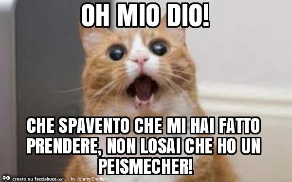 Oh mio dio! Che spavento che mi hai fatto prendere, non losai che ho un peismecher