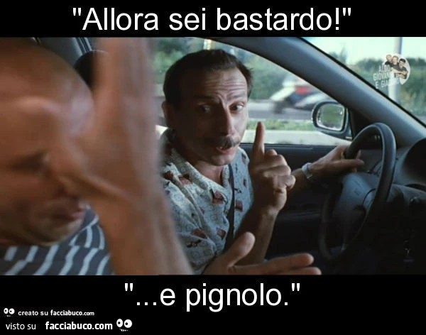 "allora sei bastardo! " "&hellip; e pignolo. "