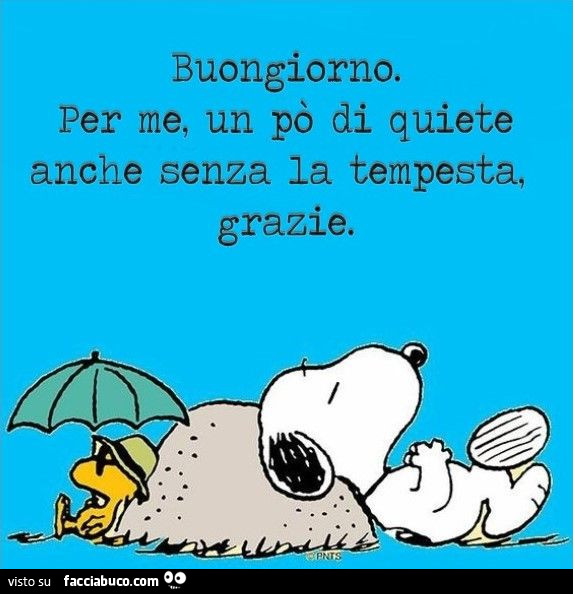 Buongiorno. Per me, un po' di quiete anche senza la tempesta, grazie