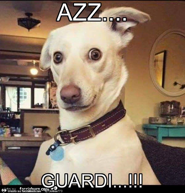 Azz&hellip; guardi