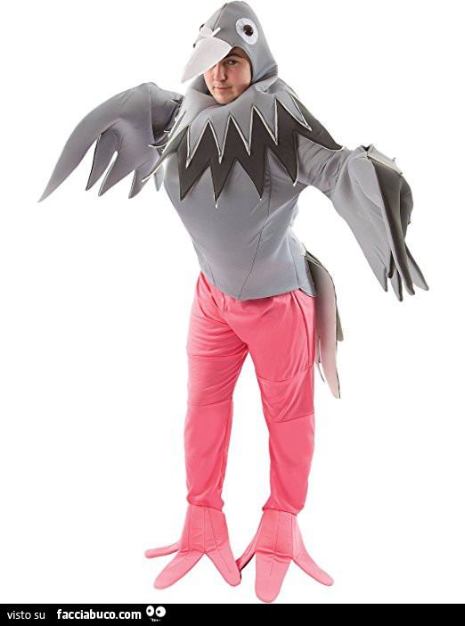 Vestito da piccione