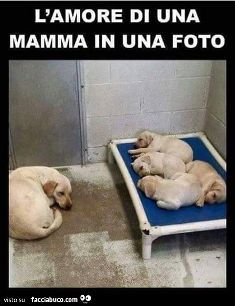 L'amore di una mamma in una foto