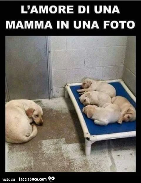 L'amore di una mamma in una foto