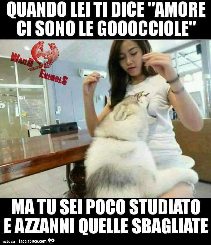 Quando lei ti dice amore ci son le gocciole ma tu sei poco studiato e azzanni quelle sbagliate