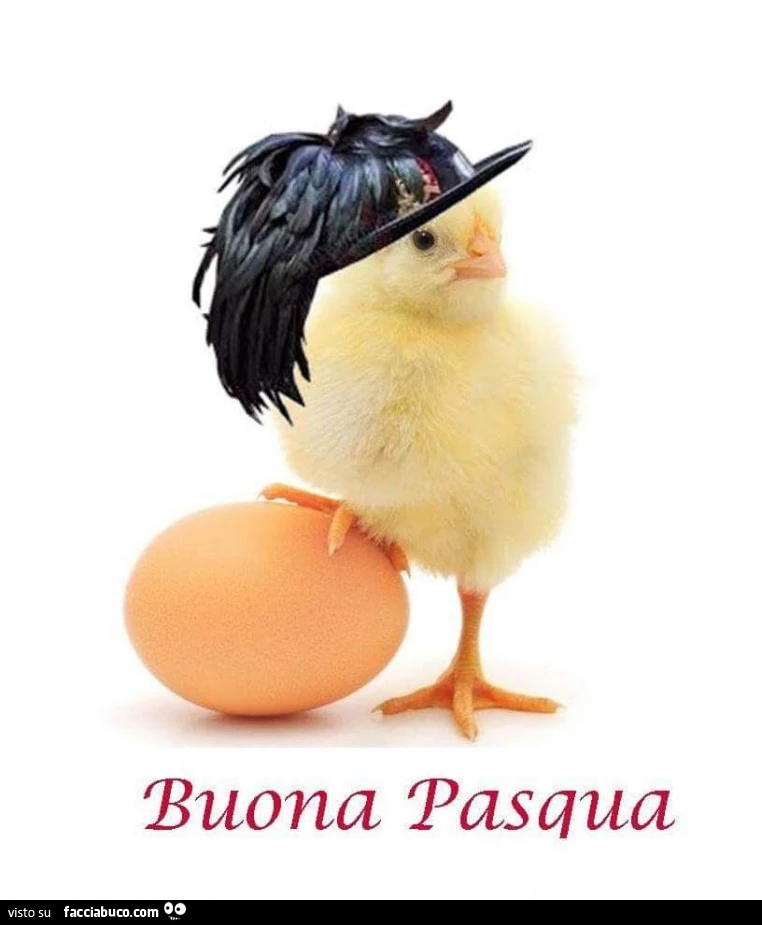 Pulcino. Buona Pasqua