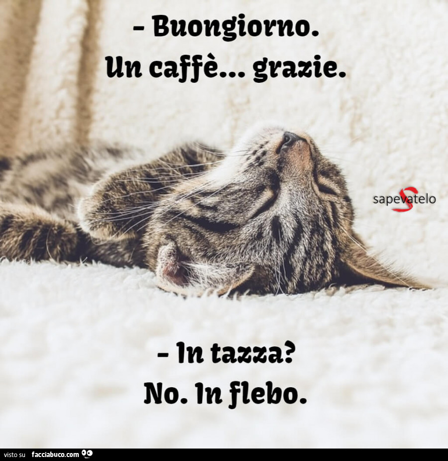 Buongiorno. Un caffè… grazie. In tazza? No. In flebo