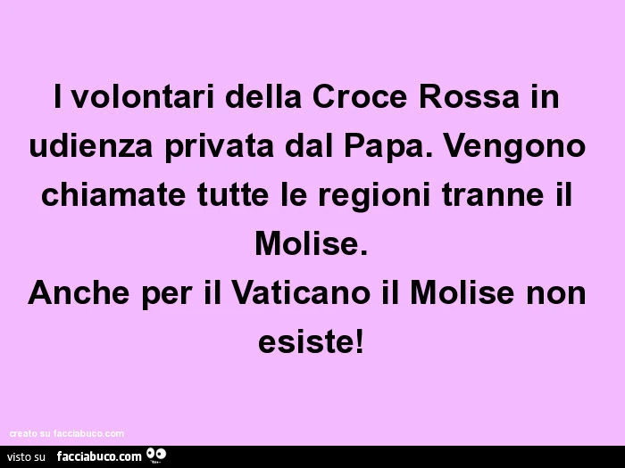 I volontari della croce rossa in udienza privata dal papa. Vengono chiamate tutte le regioni tranne il molise. Anche per il vaticano il molise non esiste