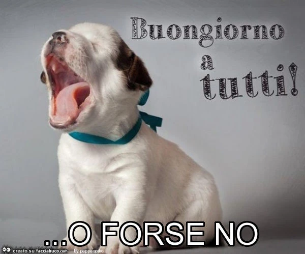 O forse no