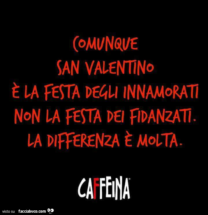 Comunque San Valentino è la festa degli innamorati non la festa dei fidanzati. La differenza è molta
