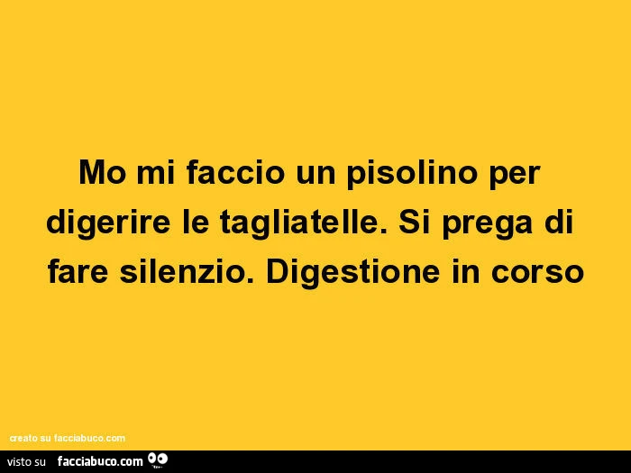 Mo mi faccio un pisolino per digerire le tagliatelle. Si prega di fare silenzio. Digestione in corso