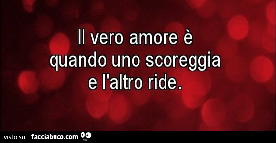 Il vero amore è quando uno scoreggia e l'altro ride