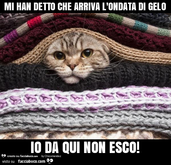 Mi han detto che arriva l'ondata di gelo io da qui non esco