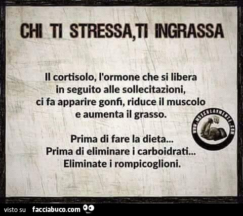 Ti stressa, ti ingrassa il cortisolo, l'ormone che si libera in seguito alle sollecitazioni, ci fa apparire gonfi, riduce il muscolo e aumenta il grasso. Prima di fare la prima di eliminare i eliminate i rompicoglioni