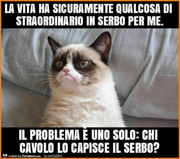 La vita ha sicuramente qualcosa di straordinario in serbo per me. Il problema è uno solo: chi cavolo lo capisce il serbo?