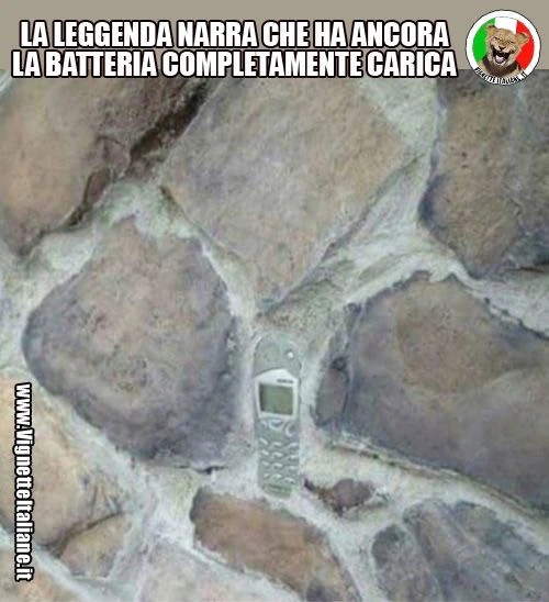 Vaccata