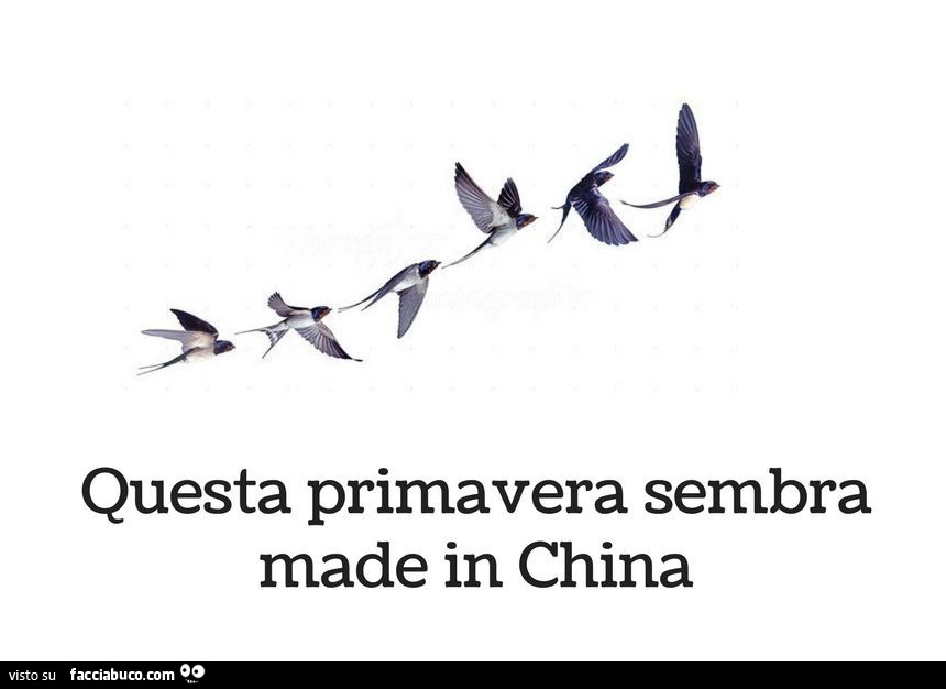 Questa primavera sembra made in china