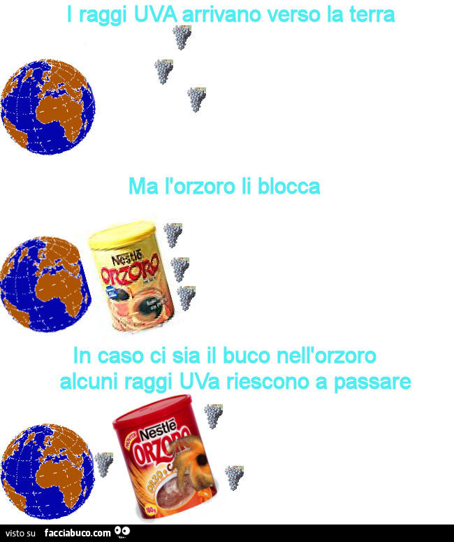 Vaccata