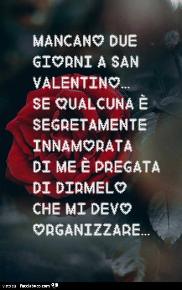 Mancano due giorni a san valentino&hellip; se qualcuna è segretamente innamorata di me è pregata di dirmelo che mi devo organizzare