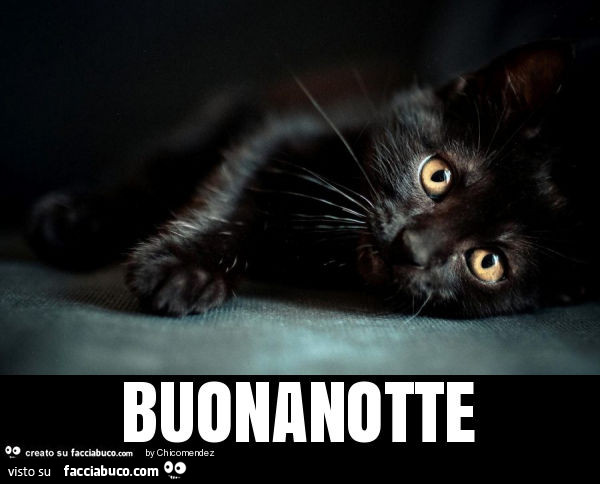 Buonanotte