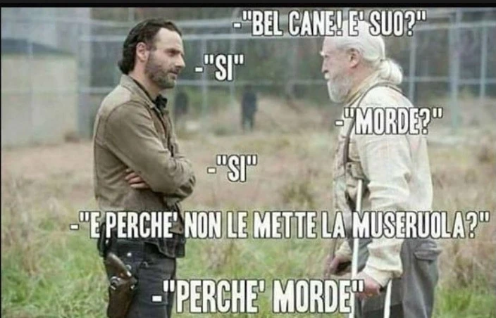 Cane