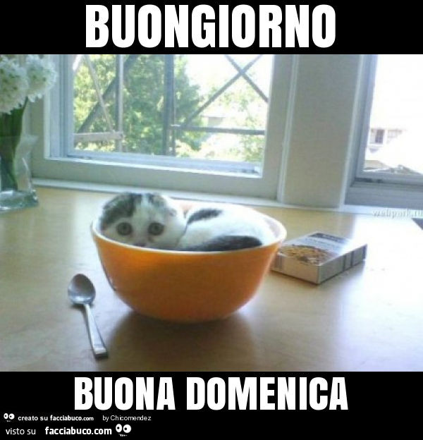 Buongiorno buona domenica