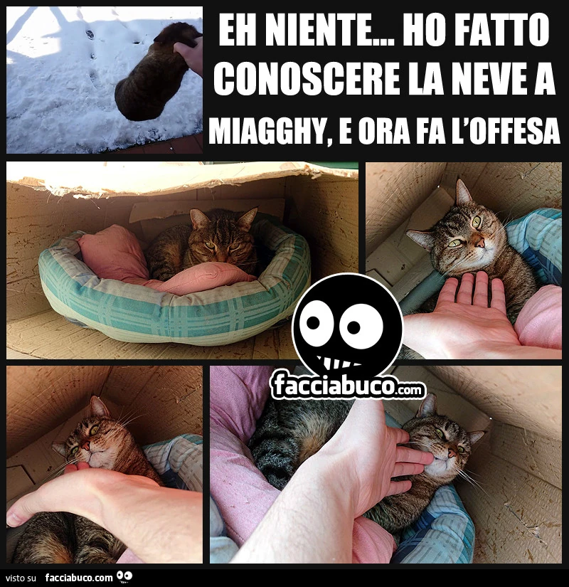 Eh niente&hellip; ho fatto conoscere la neve a Miagghy, e ora fa l'offesa