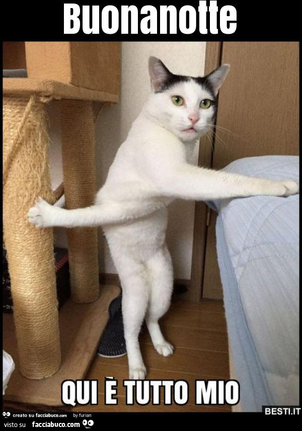 Buonanotte